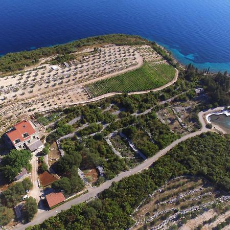Deluxe Apartman “ Koromacna” Kneza Exteriör bild